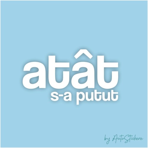 Atat s-a putut